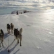 Maison de l´Aventure Mushing